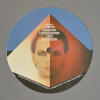 Gary Numan The Pleasure Principle Reissue Grey Vinyl 2015